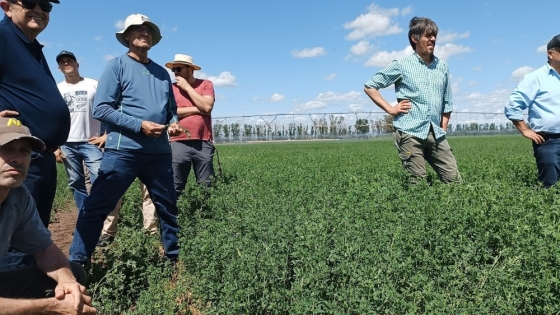 Una jornada abordó el cultivo de maíz bajo riego y el manejo de la ‘chicharrita’