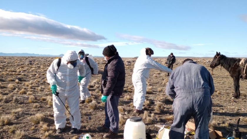 Emergencia Agropecuaria: El Gobierno de la Provincia convoca a productores afectados por plaga tucura a presentar la declaración jurada