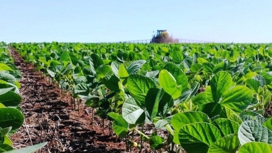 El Estado ha recaudado el valor de un campo completo en 22 años de retenciones