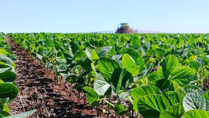 El Estado ha recaudado el valor de un campo completo en 22 años de retenciones