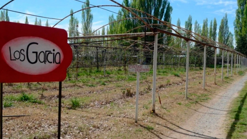 Agroturismo y frutas finas en Plottier