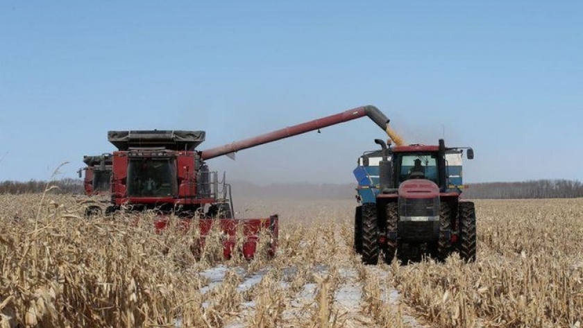 Aumentan los riesgos climáticos en EE. UU. y los fondos empujan el maíz a un máximo de una década