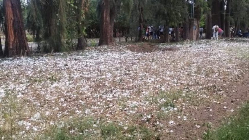 500 hectáreas de tabaco afectadas por granizo