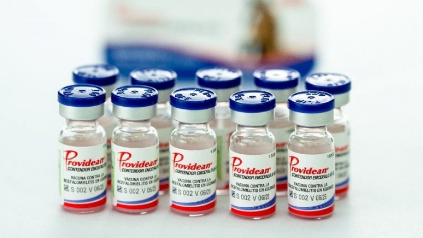 Aprueban más de un 1,1 millón de dosis de vacunas contra la encefalomielitis