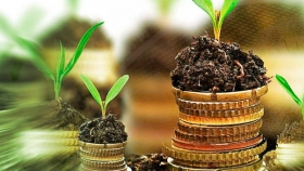 Impacto millonario por cultivos transgénicos