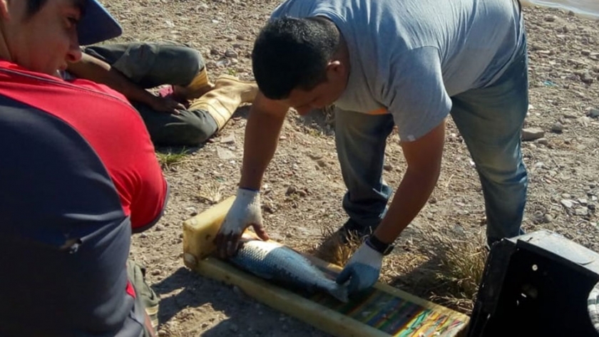 Monitorean y evalúan el recurso pesquero en Diamante