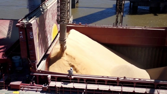 Brasil superó a la Argentina y quedó como principal exportador mundial de harina de soja