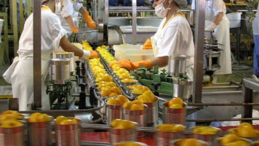Motores de la economía: una radiografía del empleo generado por la agroindustria 