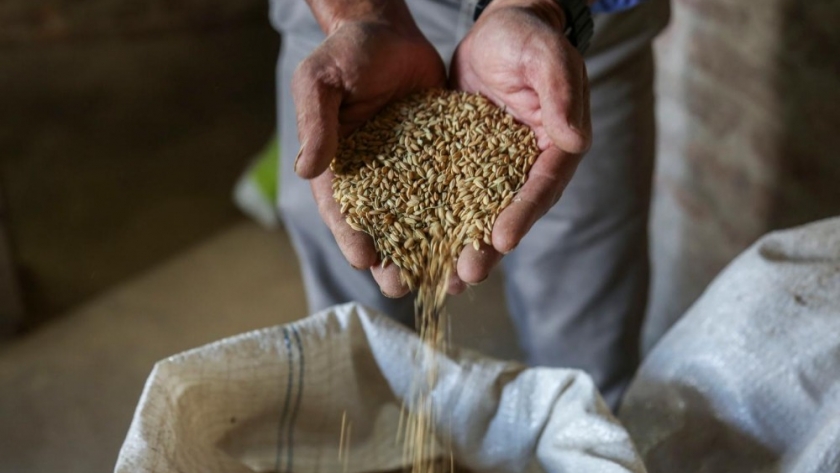 La Comisión Asesora para la Producción Orgánica analizó el aporte macroeconómico del sector