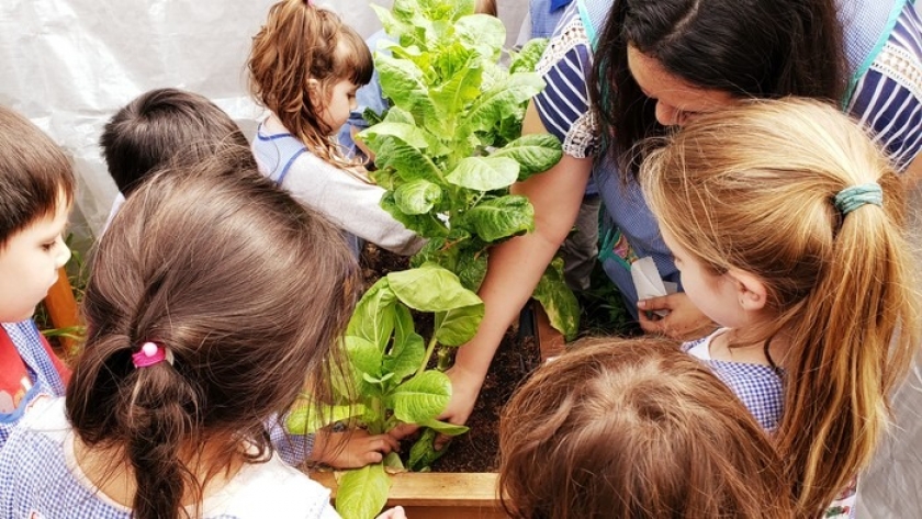 Se presentó la Estrategia de Educación Ambiental de la Ciudad de Buenos Aires