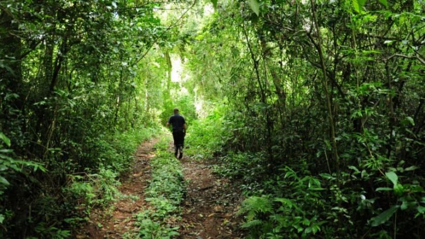 Turismo: invitan a la fiesta provincial de la biodiversidad y el ecoturismo