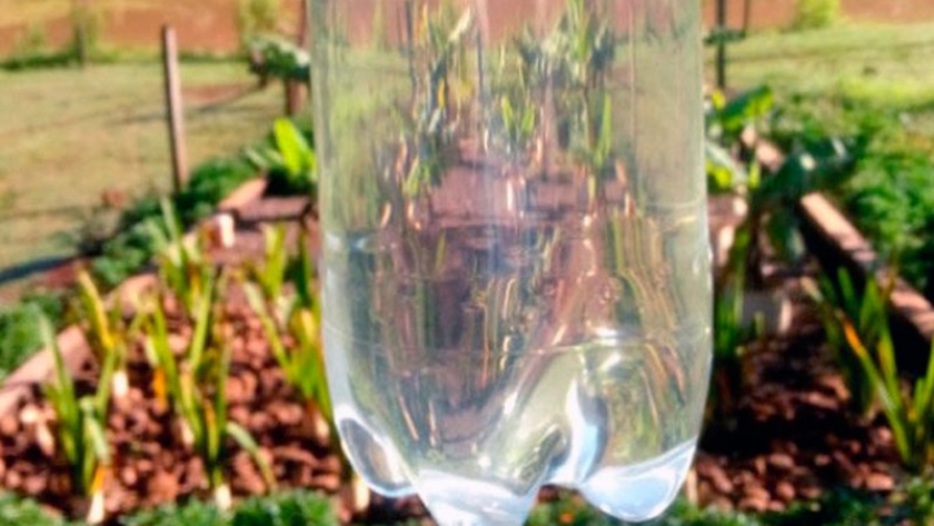 Crean un sistema natural para el tratamiento de aguas residuales en Brasil