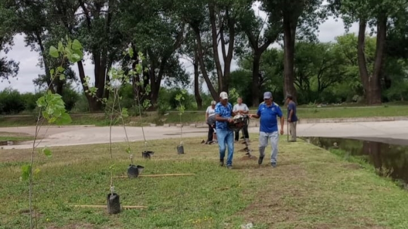 Concluyó la forestación en cercanías del barrio La Ribera de Villa Mercedes