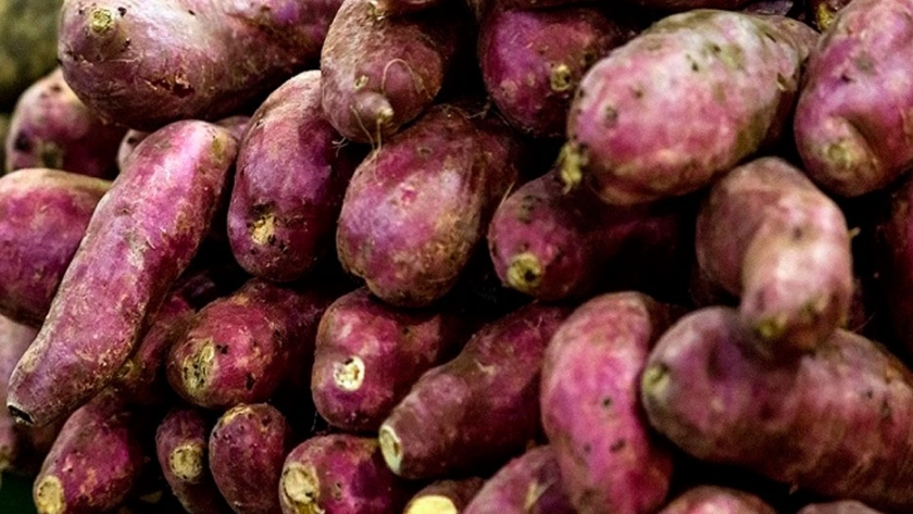 Simoca producirá dulce de batata con su marca ciudad