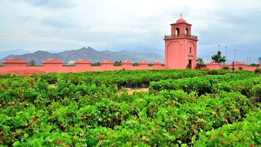 Mendoza busca vender conocimientos a Perú para acompañar la reconversión de viñedos de Ica