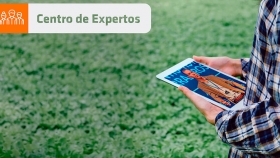 El Centro de Expertos de Expoagro Digital tendrá más de 40 técnicos con asesoramiento online