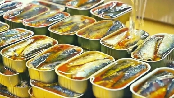 Actualizan el Código Alimentario para productos de origen marino: Nuevas definiciones y controles sanitarios