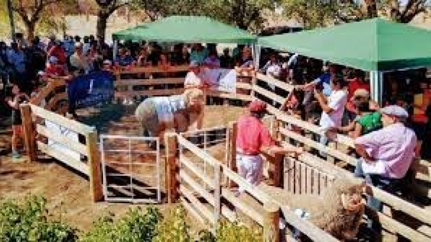 La Rural de Bariloche se llevó a cabo con éxito, y el MPyA estuvo presente con una completa agenda