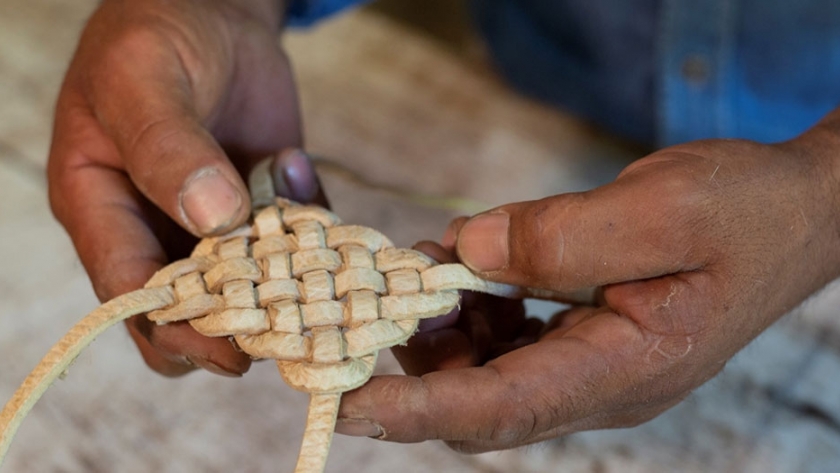 Subsidio extraordinario para artesanos