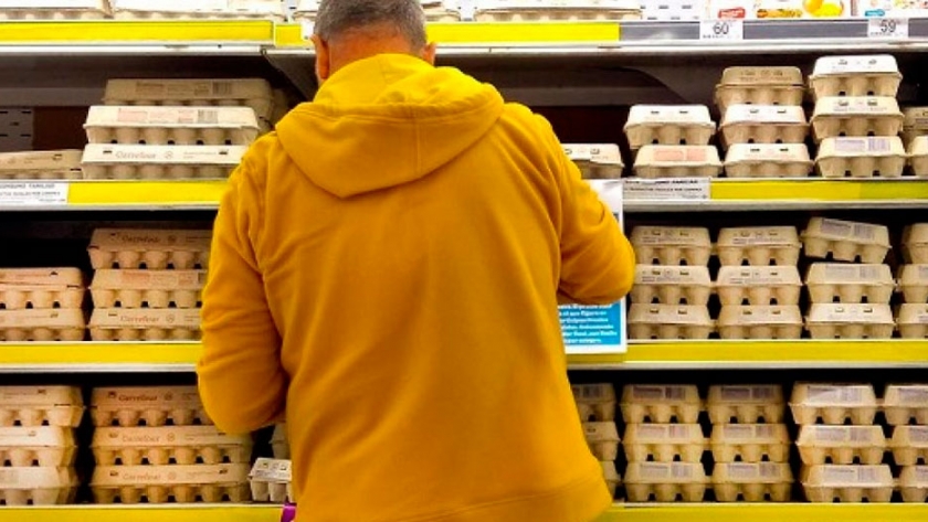 Avicultores de huevo afirman que trabajan a pérdida y advierten del peligro de abrir la importación