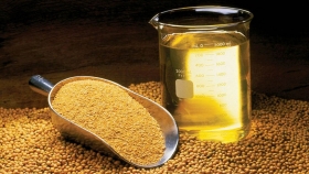 Alertan por un escenario con presiones bajistas para la harina de soja