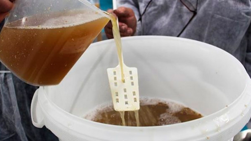 Producirán una bebida para celíacos similar a la cerveza tradicional