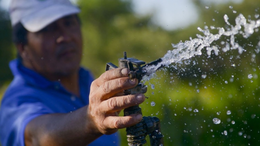 Alerta en San Juan: productores reclaman por la falta de agua para riego