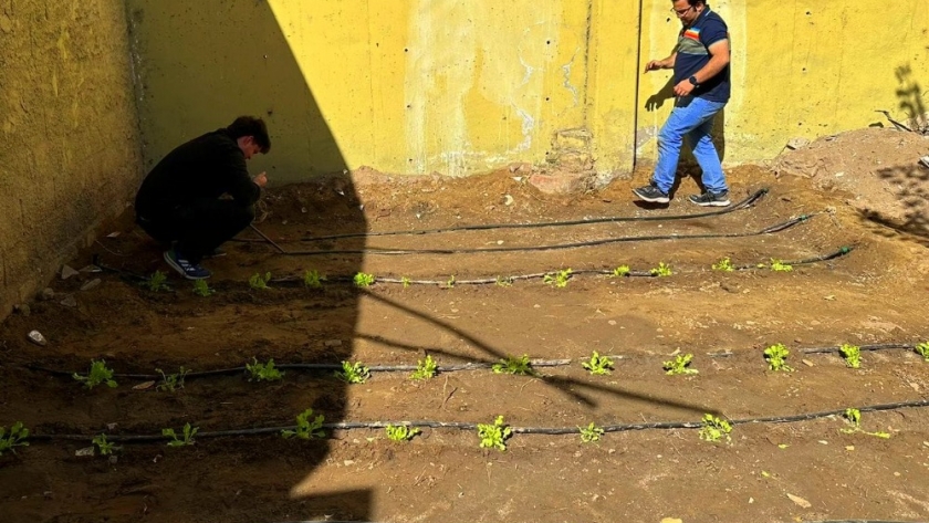 Sistemas de riego para huertas ecológicas