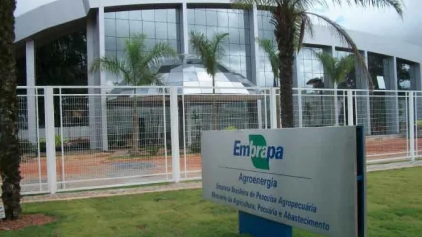 El IICA se une a las celebraciones de los 50 años de EMBRAPA, empresa pública clave para el desarrollo agropecuario y la seguridad alimentaria de Brasil y el mundo