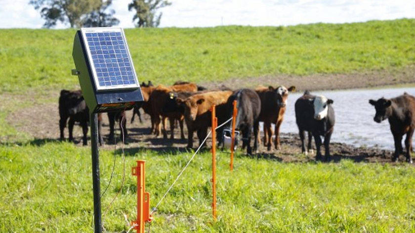 Mendoza se adhirió al programa de boyeros con energía solar para más de 288 productores