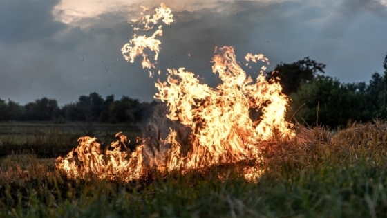 Manejo del fuego: Buenos Aires regulará las quemas, con sanciones a quienes no pidan autorización