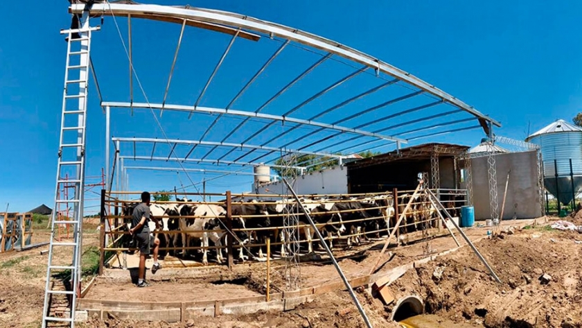 Tambo, La vaca en algún momento te devuelve la inversión