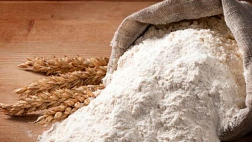 La exportación de harina de trigo como primer estadío para potenciar la cadena triguera