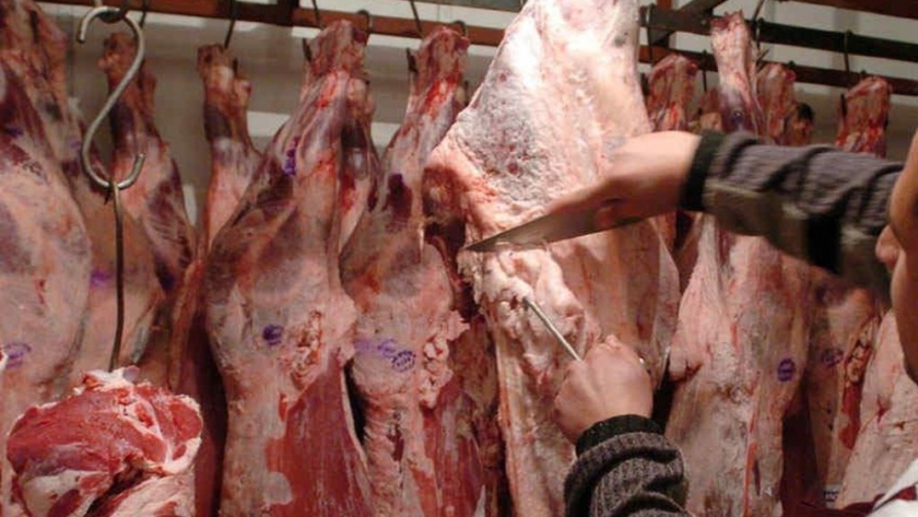 Todo para iniciar la expansión del “stock” ganadero