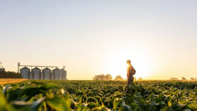 Certificación de Buenas Prácticas Agrícolas de aplicación