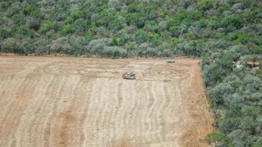 El desmonte pone en riesgo la producción de alimentos en el Chaco Semiárido