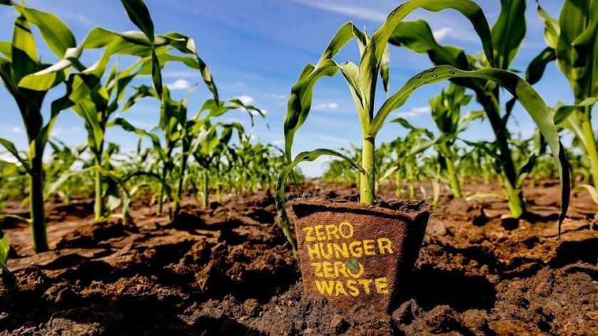 Estados Unidos: Kroger Co. planea invertir en empresas que reciclen alimentos