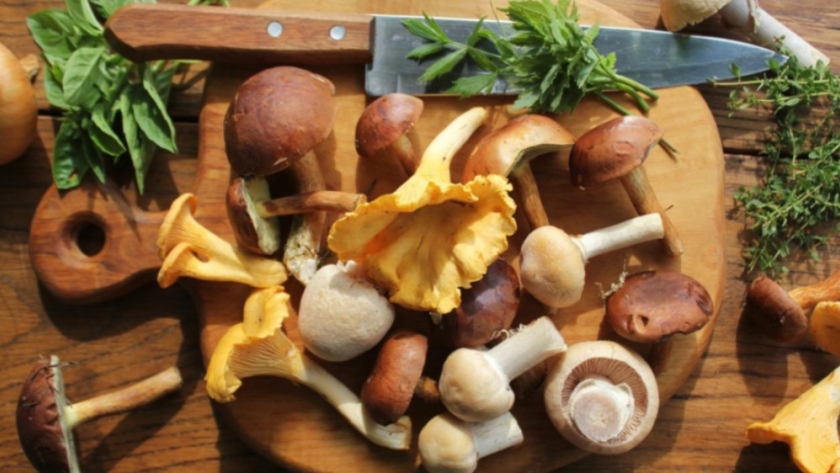 El renacimiento de la gastronomía 