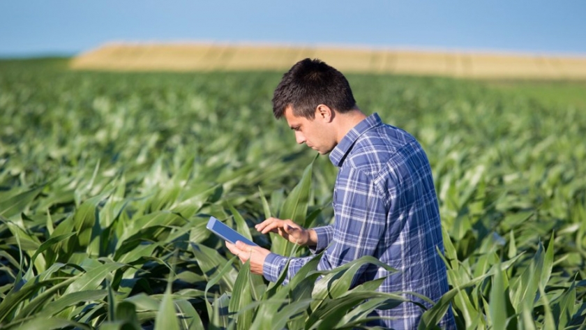 Las cinco plataformas que conectan al sector del agro con las grandes ciudades de Colombia
