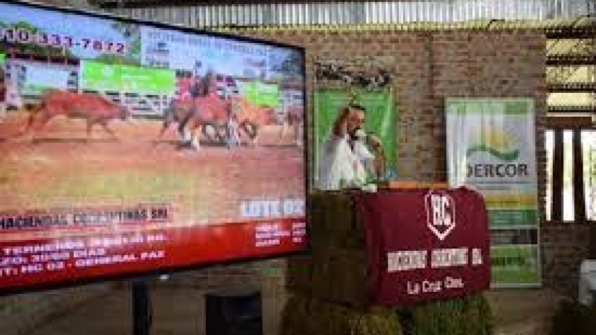 Capacitaciones y estrictos controles sanitarios en el Remate Ganadero Televisado de Caá Catí