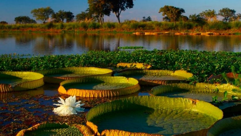 Iberá es el nuevo Parque Nacional de Argentina