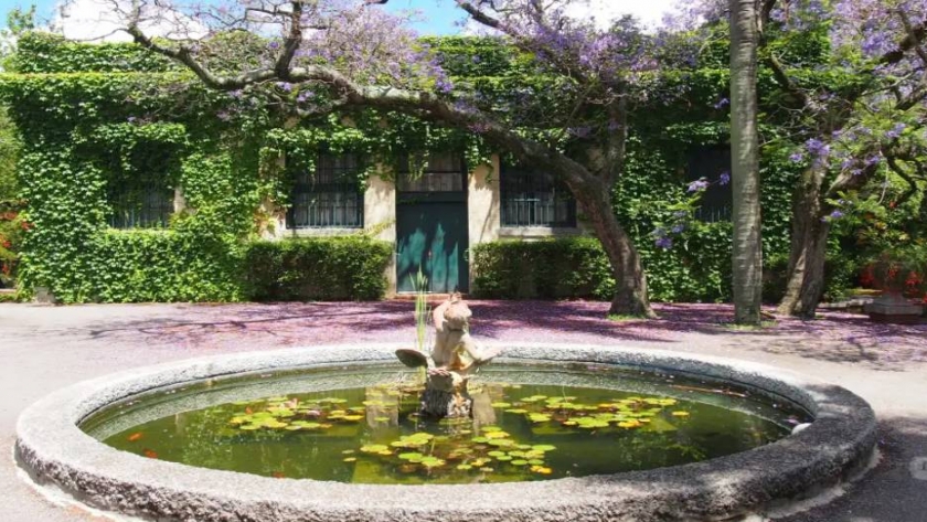 Jardín Botánico de Montevideo: valor agregado a la botánica 