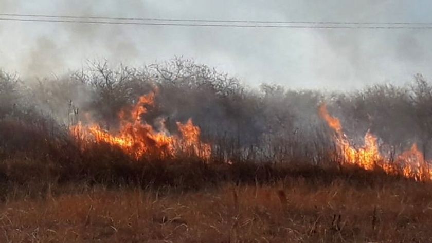 Guardaparques y Bomberos sofocaron incendios en Finca Las Costas