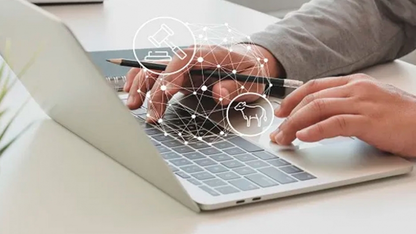 Ganadería 2.0 en Expoagro Digital: habrá remates online de Rosgan y AFA