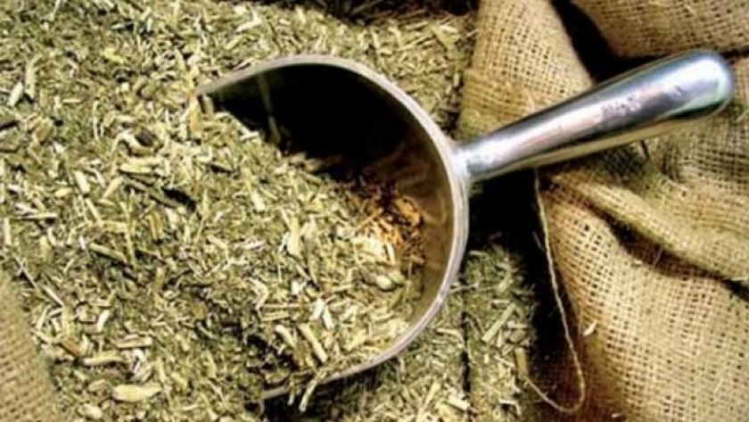 Proyecciones positivas para la yerba mate