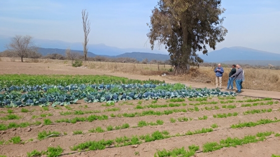 Fomentan la producción de hortalizas en el departamento de La Viña