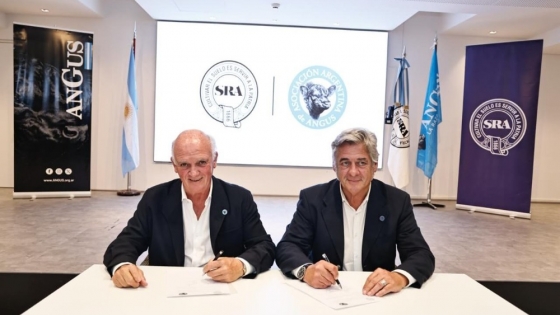 SRA y Angus avanzan en un acuerdo para integrar registros genéticos y modernizar la gestión ganadera