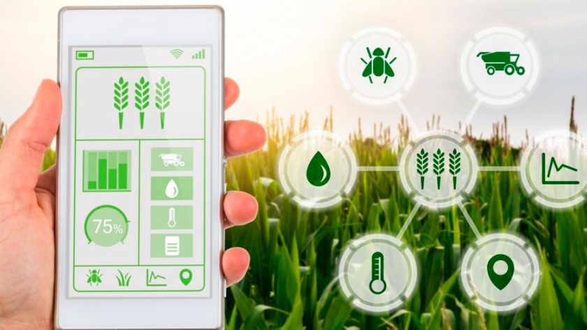 Agromarketing digital