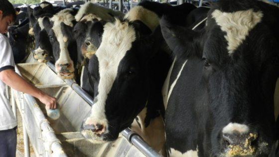 <Entregaron aportes económicos a pequeños y medianos productores lecheros del departamento 9 de Julio