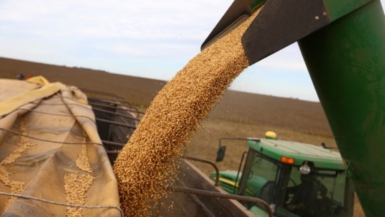 Récord histórico en soja y buen ritmo en maíz impulsan la recuperación del agro argentino